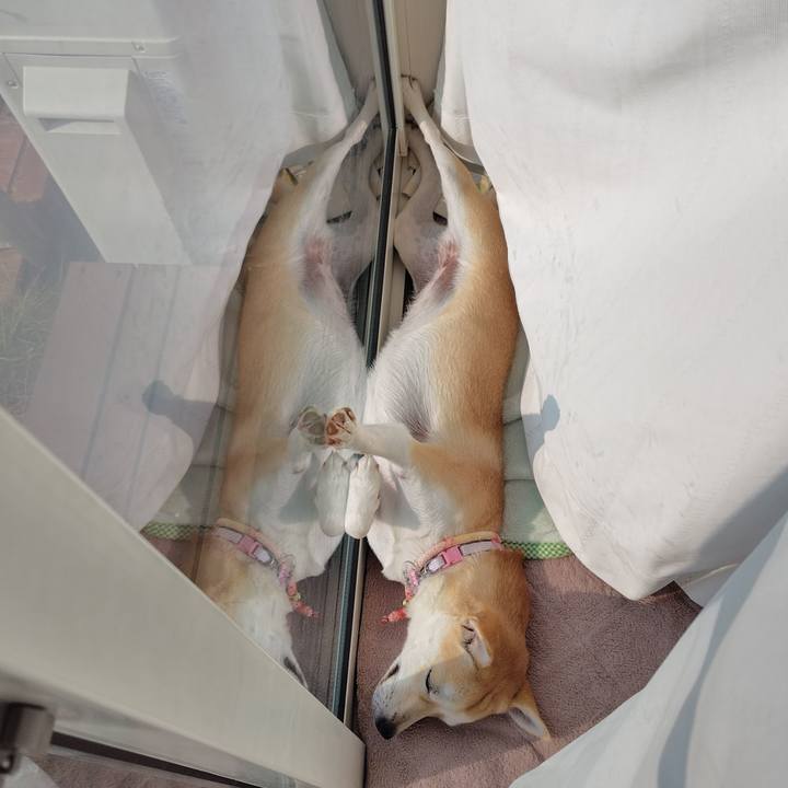 22560983 b97a 4f62 8e0f 82d33a3d40ba 1765158653000