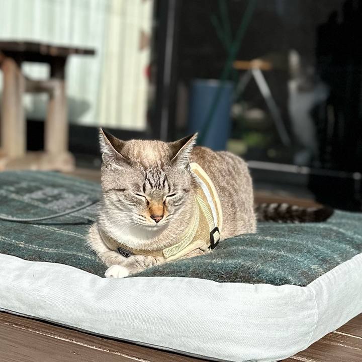 225623ba e4d2 47be 9d6b cafd1ea3a638 1668218477721