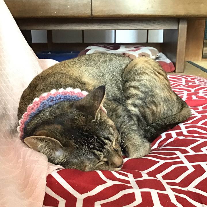 225626c6 5b15 4244 b5f8 ccf2c98de7ac 1617411748244