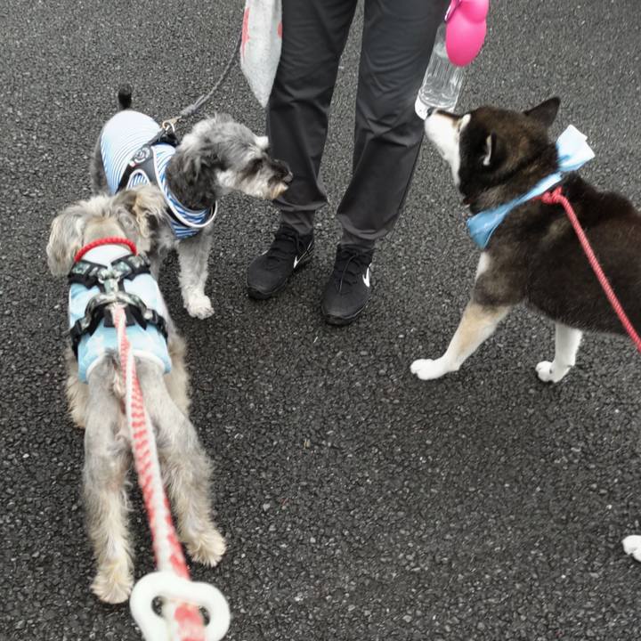 225646f3 bbbe 4c49 ba92 dce2e065ce08 1690899678736