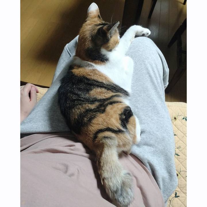 2256b3d0 bcd4 449c b9bf 895b42ed6202 1758118331900