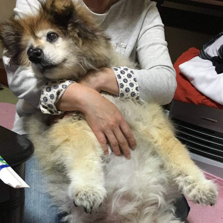 2256ed31 8a35 4f0f a237 d77432fa1e94 1571693086171