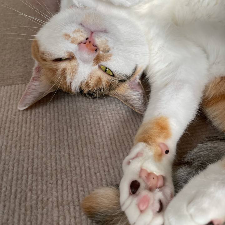 2256fac4 e136 40b0 99d9 80da70aba128 1625902527684