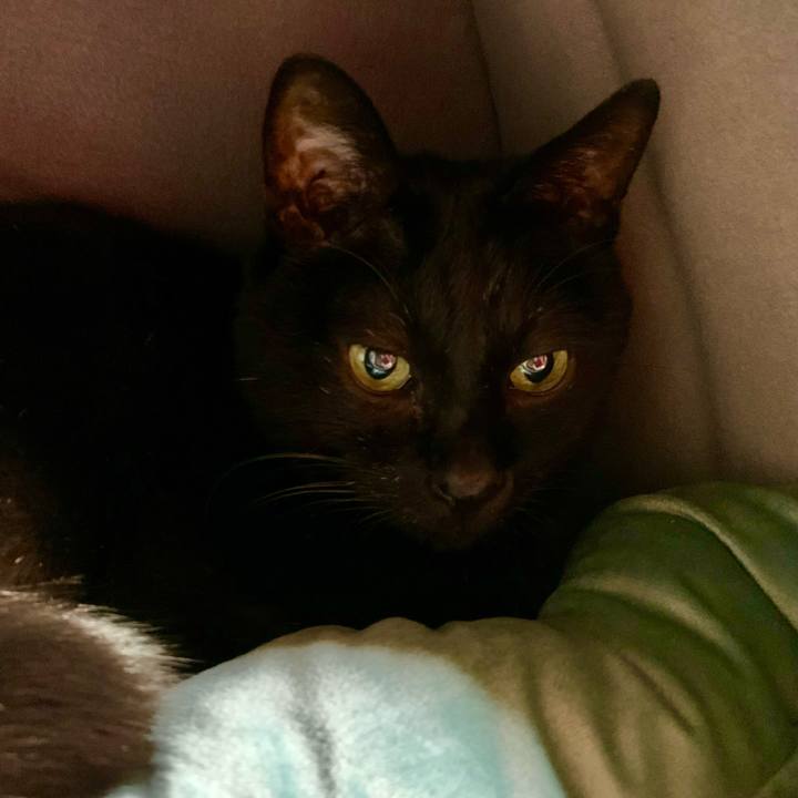 22571f2a 1841 4e5e afe5 982ce4dc9ca2 1674293590532