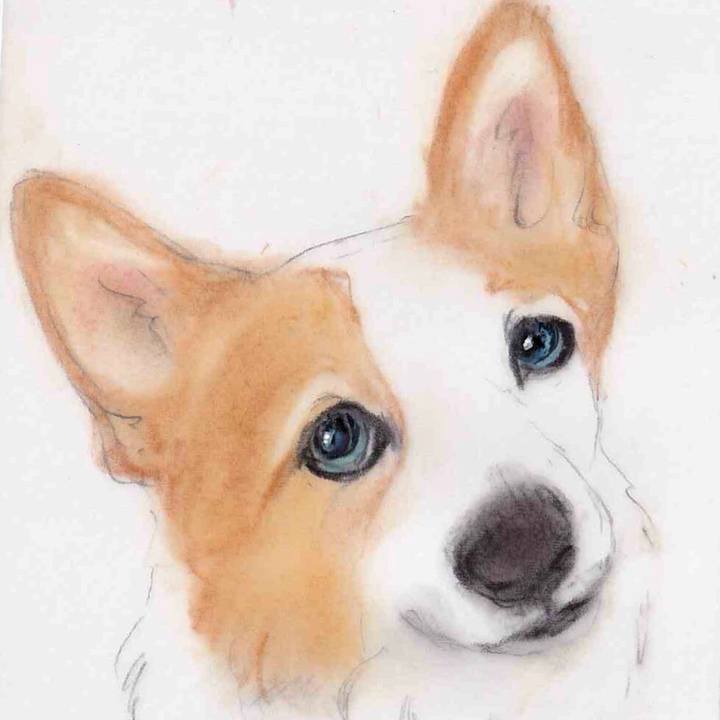 22573a27 b170 46ed 8404 f74879b854c5 1652578511275