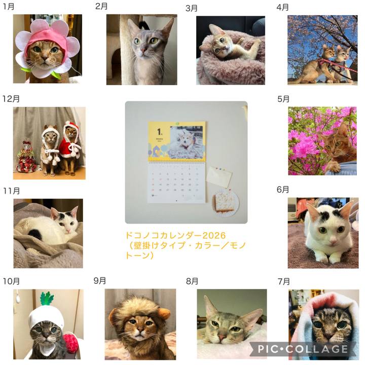 22574120 60eb 46fa bd8a 59e4e050ba76 1764221502630