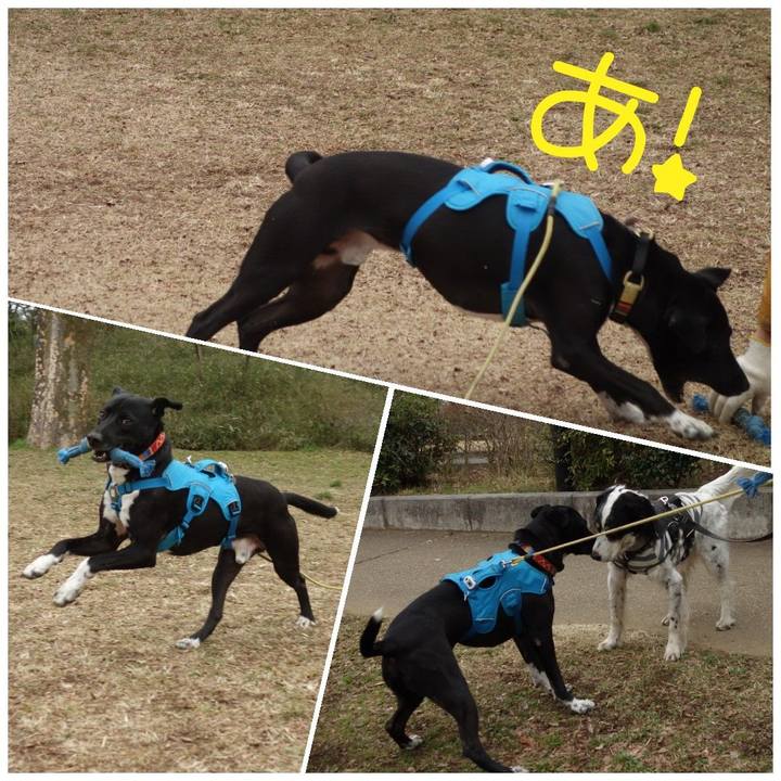 225741b7 ba93 485b bd75 917bc4edbafa 1614300066139