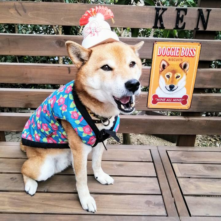 22577135 2eac 41d6 a07b 50923151fbe7 1610341567726