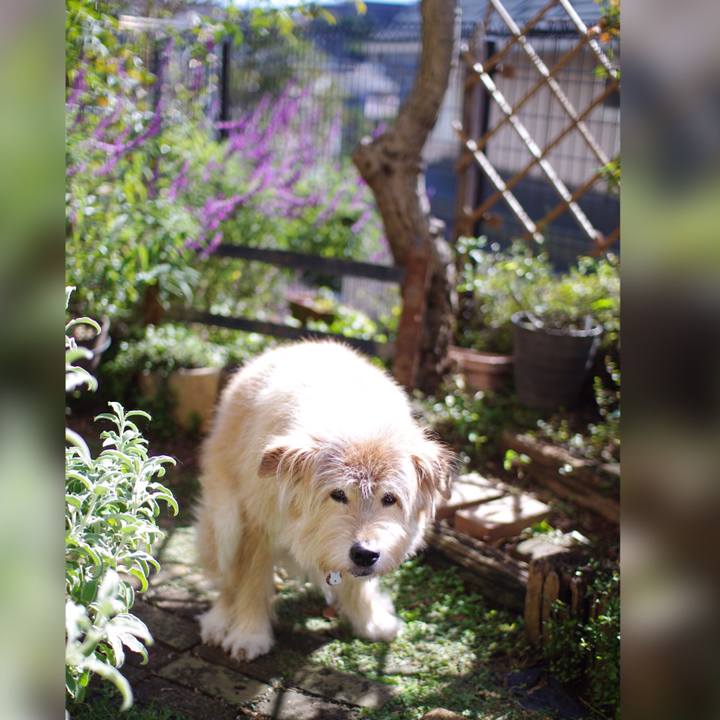 22579d2c 4628 48a9 93ec 56823c8c1722 1635123969153