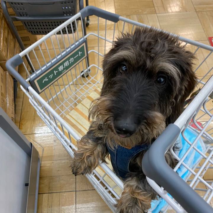 2257b9db de5e 4ca5 b2cc 1b88f7d5eb8a 1626262102915