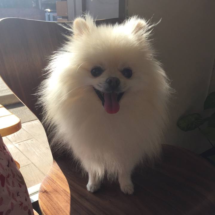 2257bc30 c743 4e95 988f c2634a00c9bf 1541376671462