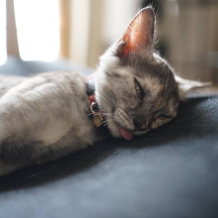 2257d9d0 87f4 47f3 8763 05071382e16d 1694748461700