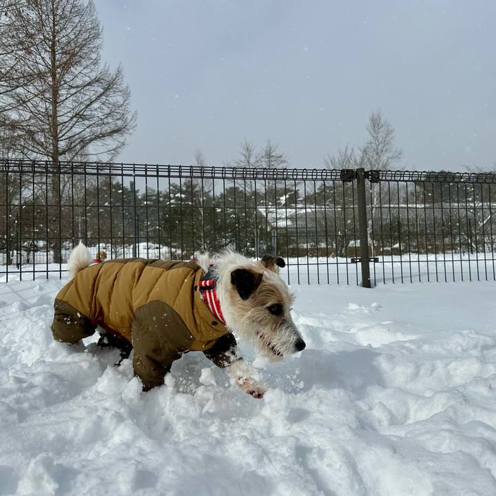 2257de16 50cd 469b a61d 6acbe461b7e7 1738312203442