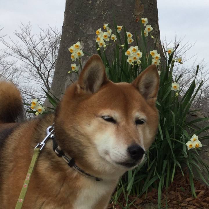 22583568 c410 4ed0 acd7 53faca9e5d6d 1578372465840