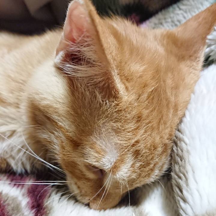 22585cbe 5b47 436c 8b77 6aa924a9aeb4 1634043822678