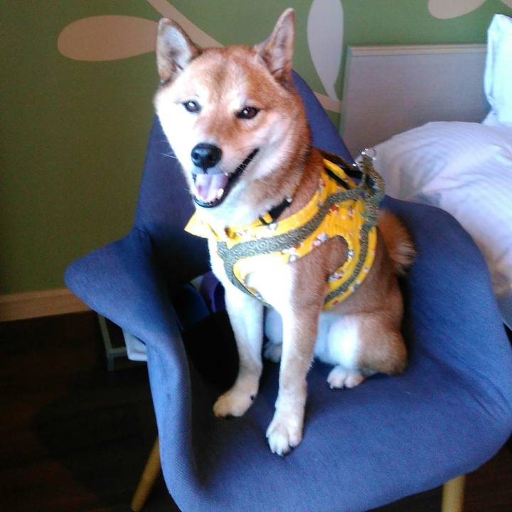 225870e6 734c 4ee6 970f db3035d04744 1514186878068