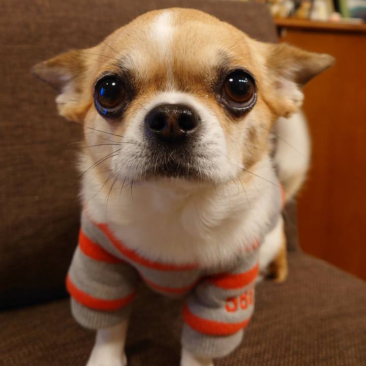 2258a753 71f8 4658 b58d f06bcf198dad 1674080785279