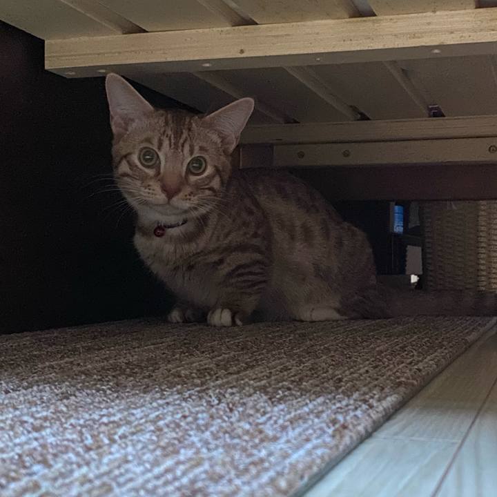 2258b552 d1da 499a bd84 88a8910a3985 1598000114792