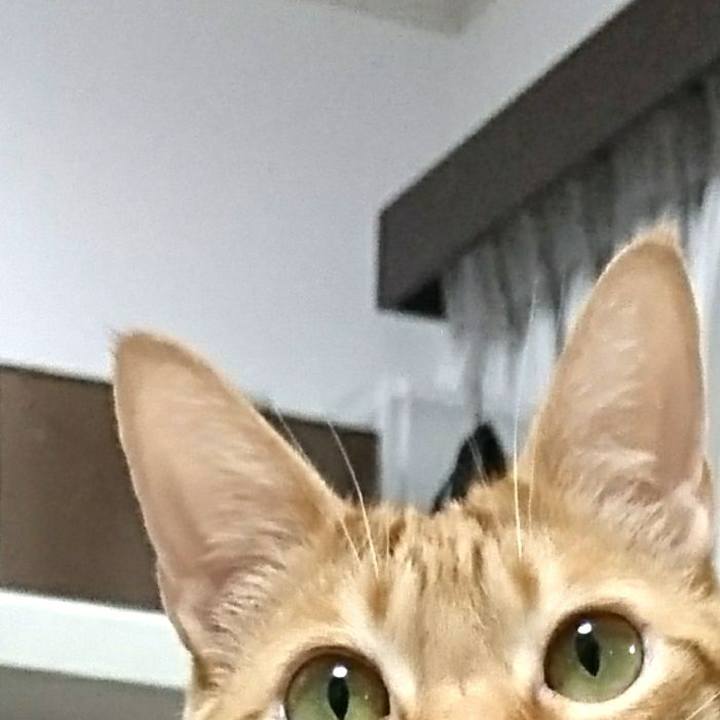 2258b9e8 628b 40bf 9427 27d7252e830f 1523573453287