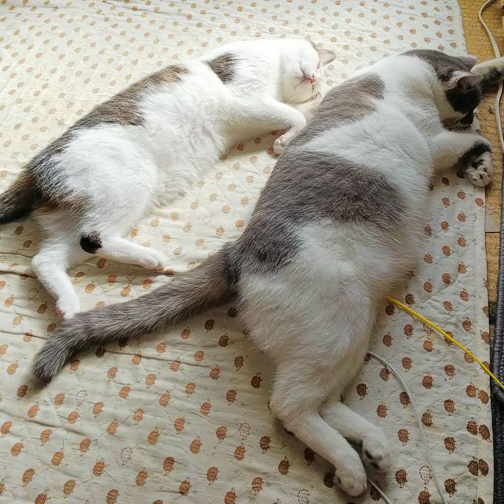 2258db46 ea42 49a7 a0a0 0e92a4b5c51b 1536844337067