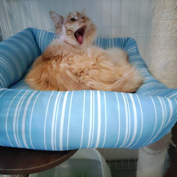 2258dfba c8d3 44e9 9bc5 f7bfcfd4c398 1683081048383