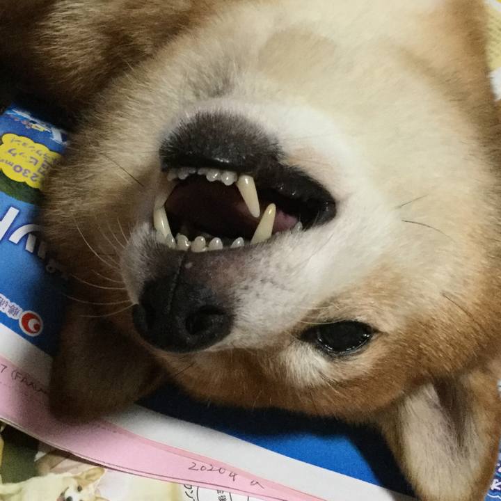 22590c45 2344 41d9 8114 4685262be710 1596027774903