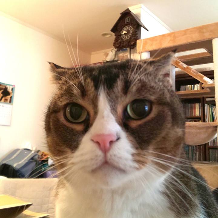 22591ad9 c871 44b4 affe a7a55f5ca259 1637973935945