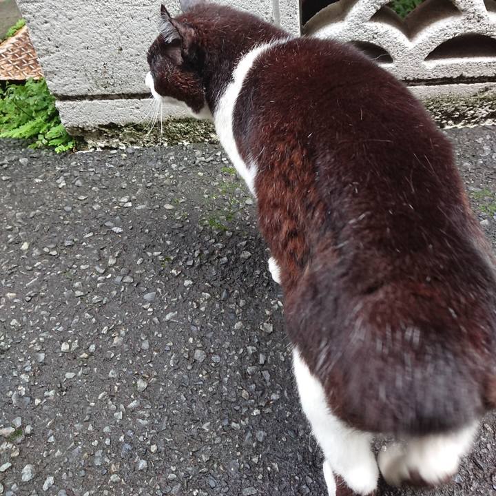 22592a3f ac25 4be7 8dbc 430b21f2f5f9 1686611193809