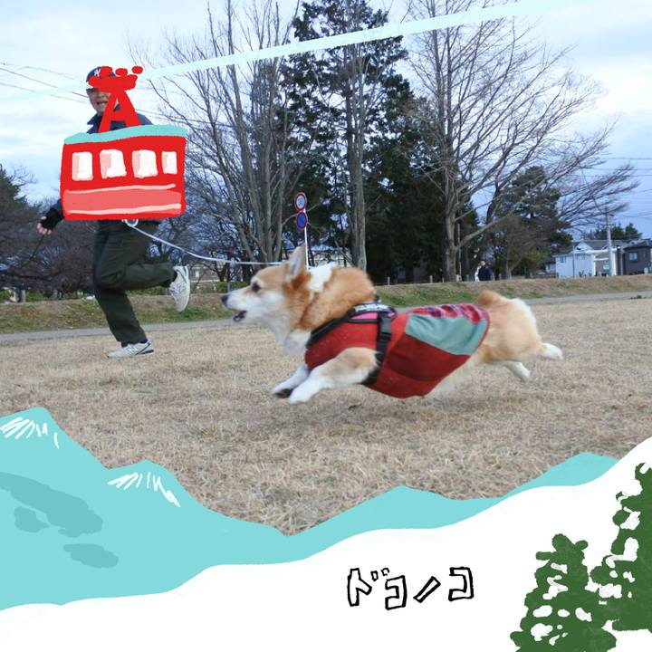 22597789 5ff6 44c5 9360 506682758e20 1706877796602