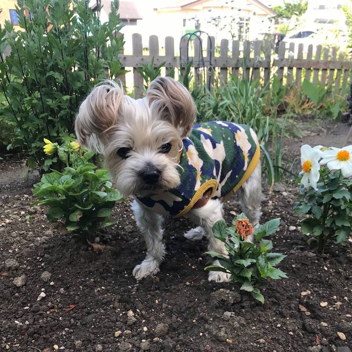 22597d87 9a86 42e1 8f2e 8fad5090f99b 1560838211545