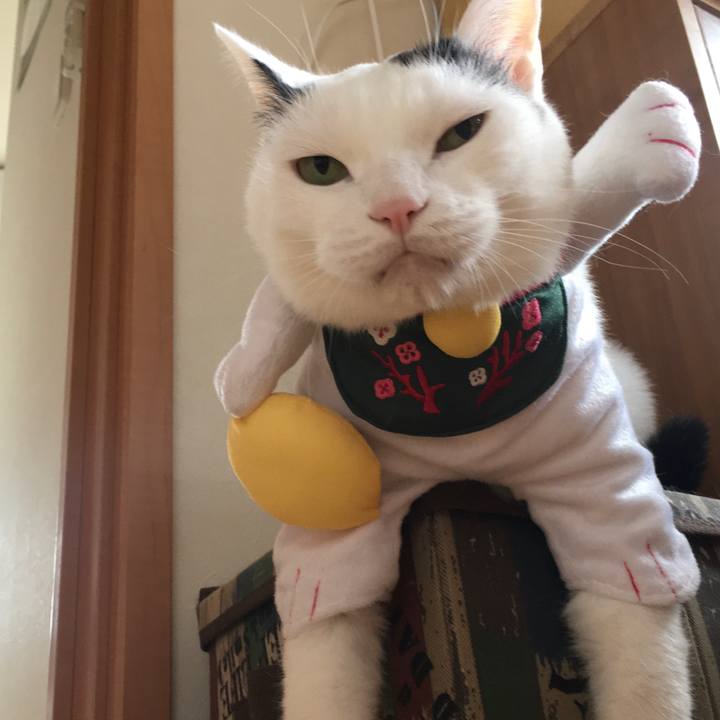 22598418 8920 44c0 a152 3a916a53abab 1572657341439