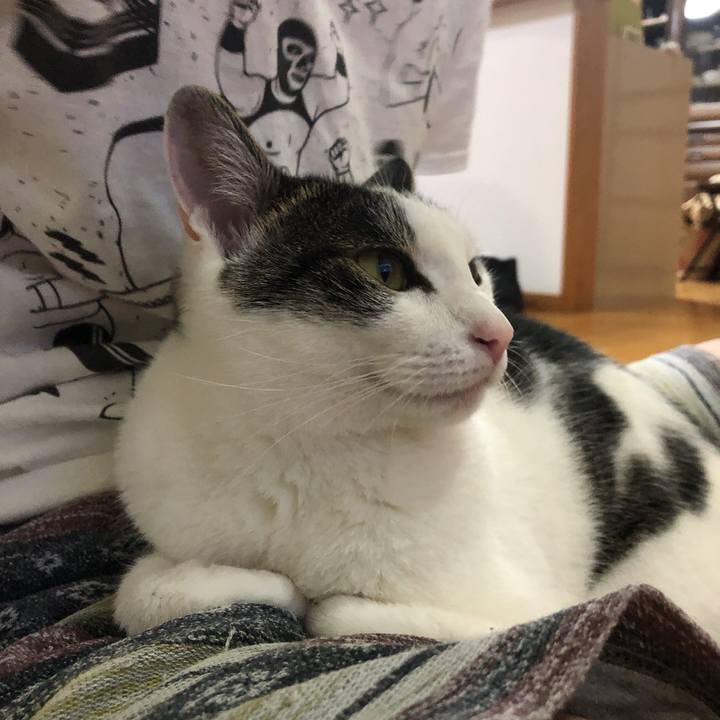 2259b9c6 7671 4f2e bdf5 366d3de8d8d8 1625842245287