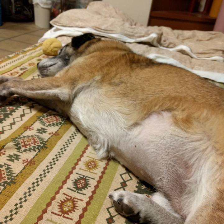 225a1166 6c93 443f 93ba dd2c2aa90747 1511860880757