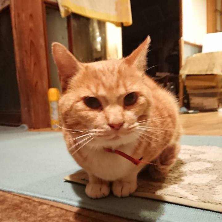 225a25c5 ad74 4697 95c0 ba86fe5a9ac3 1574327229351