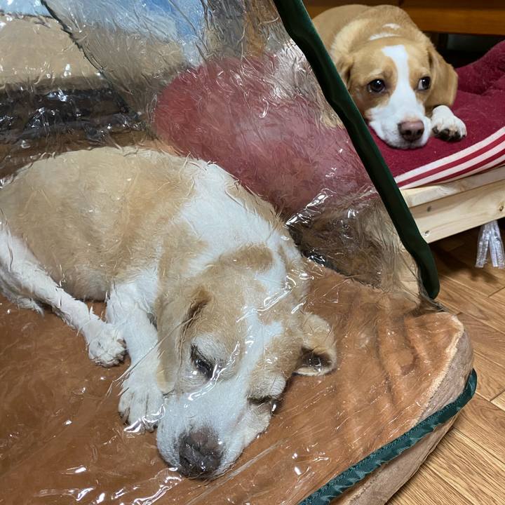 225a32c0 0a4a 47ef b7c0 ac65168eba3f 1599319573891