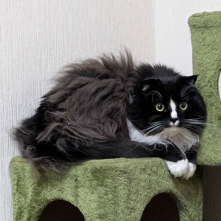 225a8c3f 3a31 41ca a669 9dacf50a3d2b 1736768396121