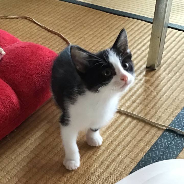 225aa020 515d 4570 b0b9 afdffb8c549e 1624153561575