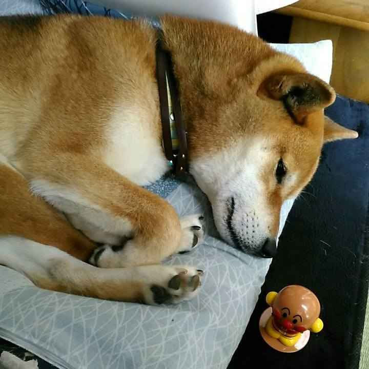 225aa54a 5e7f 4a85 afb6 117919b6eaca 1557896697651