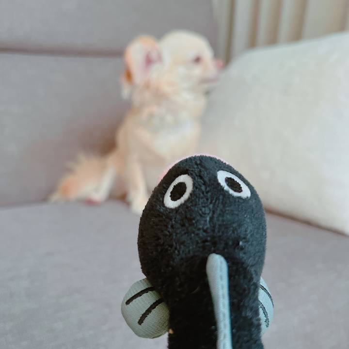 225aa938 bc3a 4a60 94d3 8cca8e2b7ba2 1655709811501