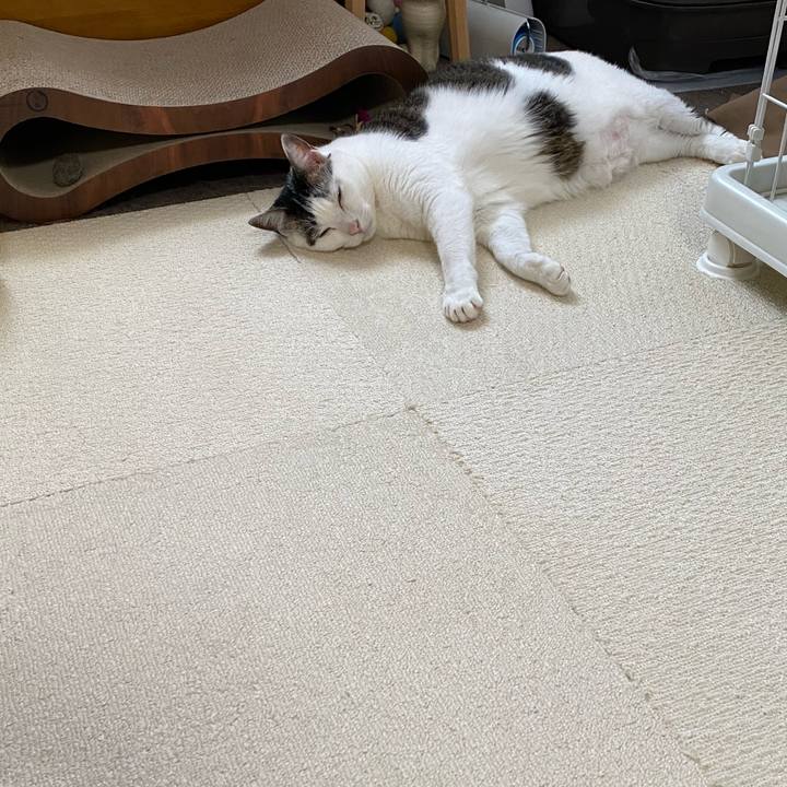 225aa9bd 3c5a 4959 93d6 c7b575047c0f 1774589856005