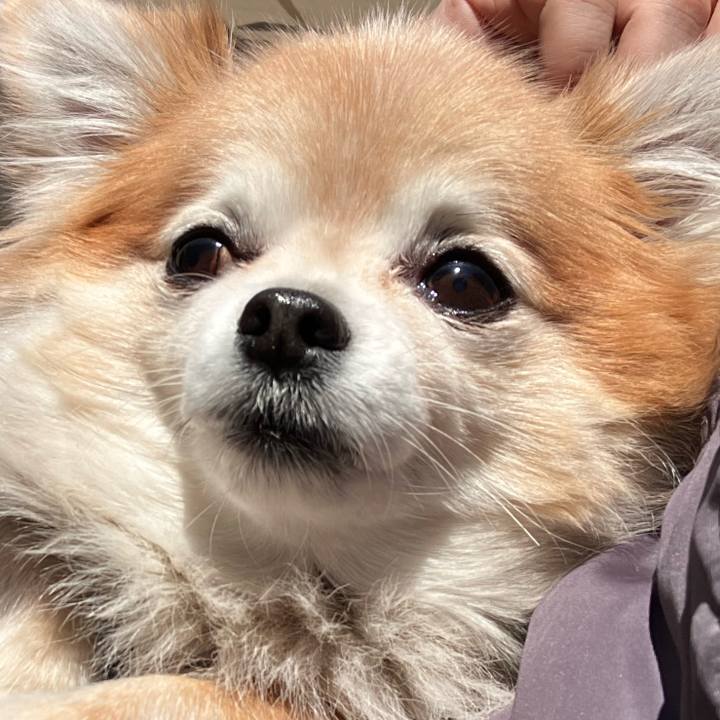 225aaaca 6915 4a0f 978c 108161285bc9 1769937285118