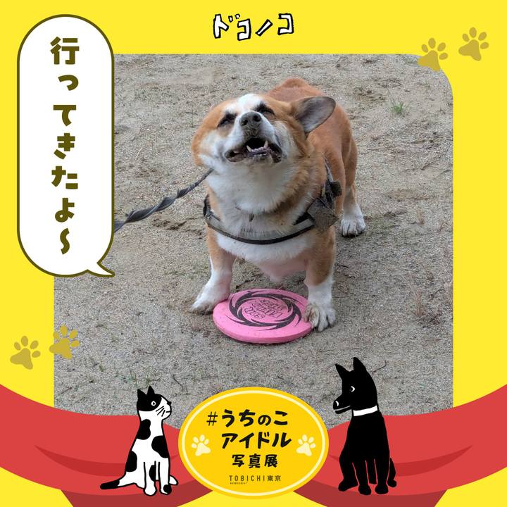 225ab742 4199 4744 b2b2 c0985fac251f 1761143569105