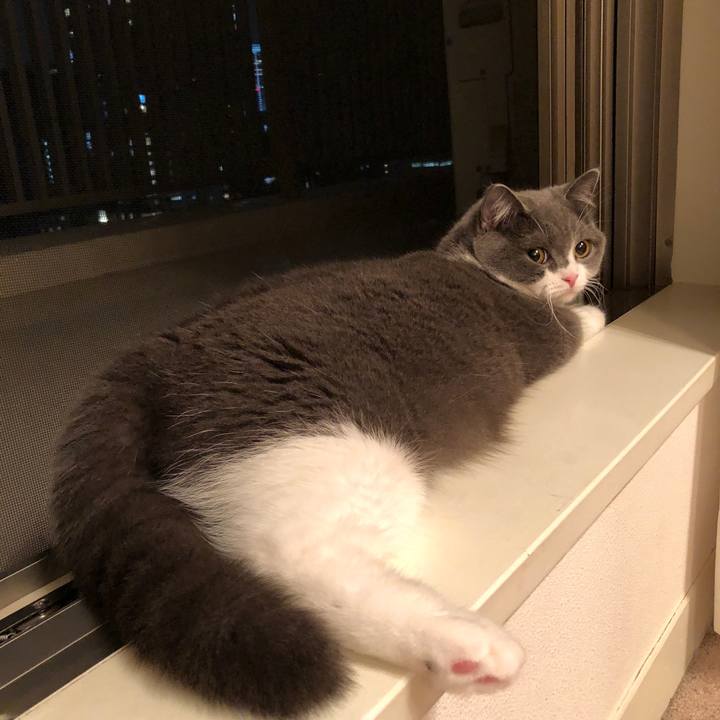 225ae3bf b9b5 4c2a b774 f50cddc8c414 1526649343796