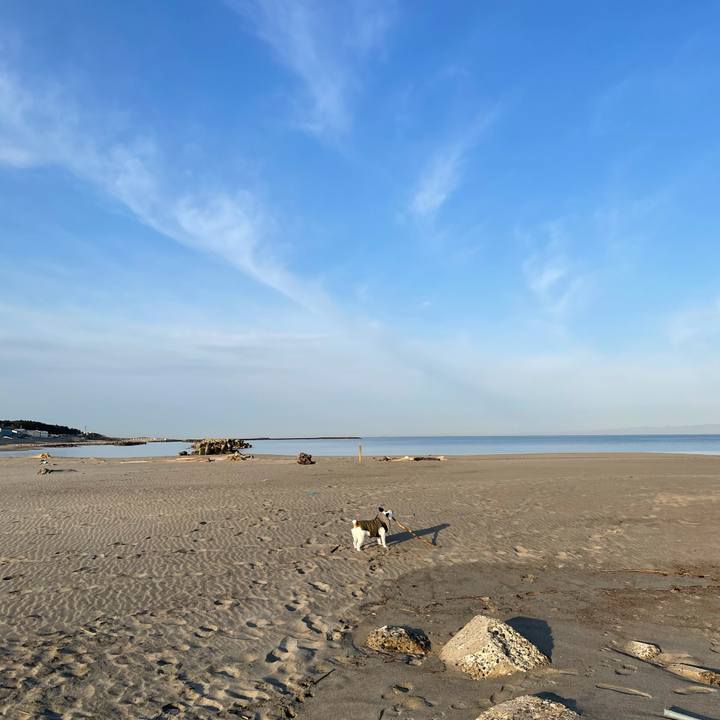 225afabd d65e 4691 abf3 965e54338dee 1615502001253