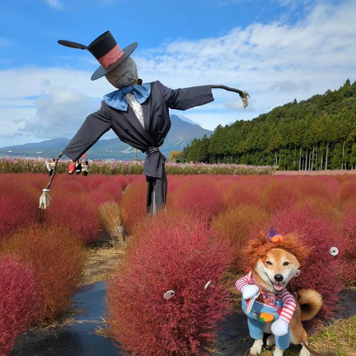 225b2c07 58c3 42bd bd45 8045d033c897 1730458763081