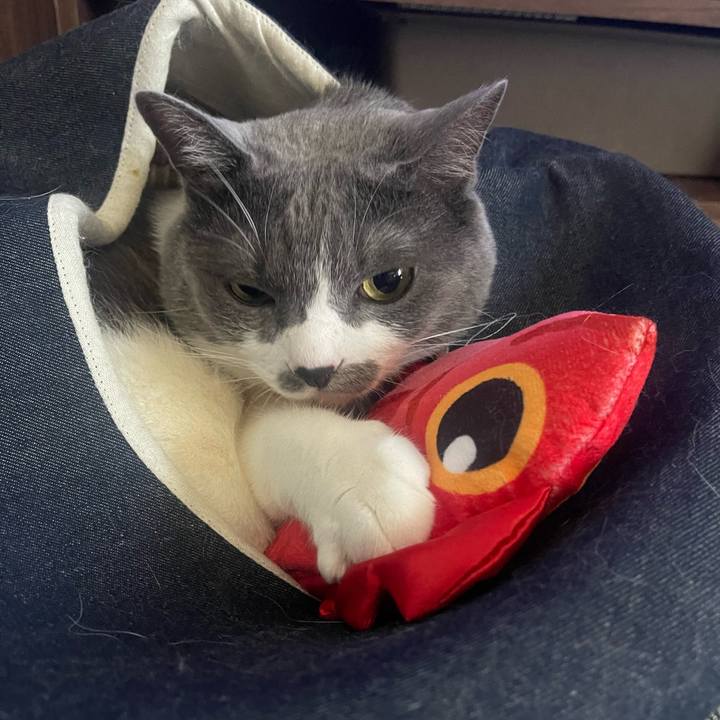 225b63db 9413 4c94 87a7 15c3563ba81d 1718011190495