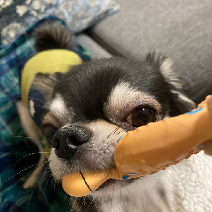 225b65c9 100e 4661 b915 c29e6835da47 1645623827651