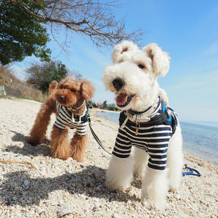 225b8d2b 4350 431b a3db 882bfd9ccc04 1521880985830