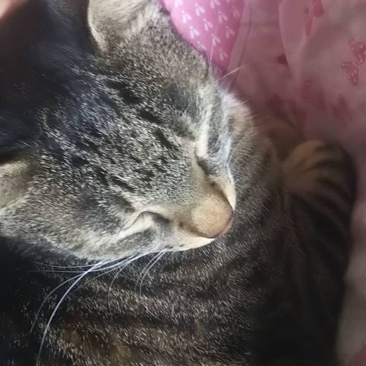 225be1e5 51c4 4f12 9fd9 699ed49a4fc7 1614345270206