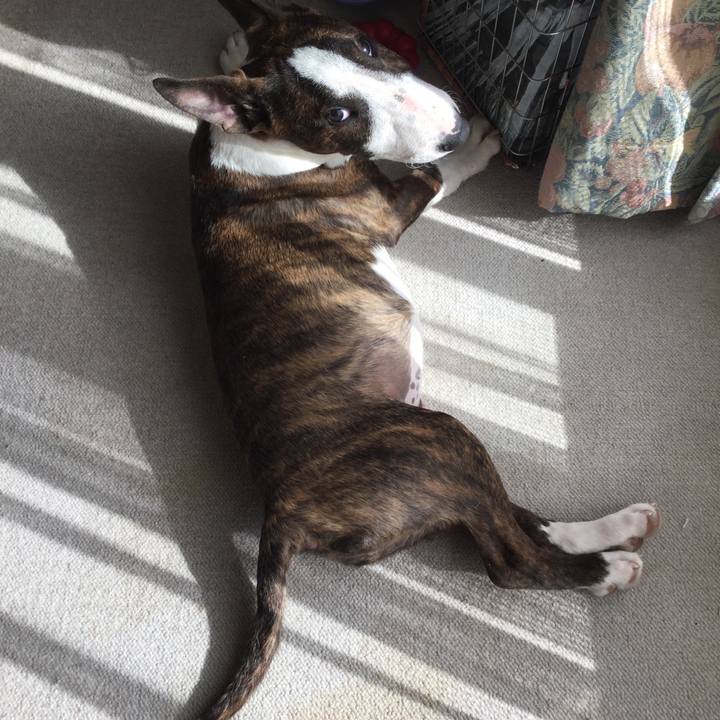 225be643 689d 46a5 a016 463a8d28778d 1553154844019